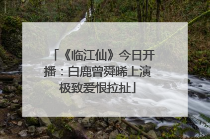 《临江仙》今日开播：白鹿曾舜晞上演极致爱恨拉扯