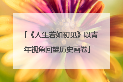 《人生若如初见》以青年视角回望历史画卷