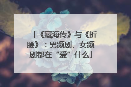 《藏海传》与《折腰》：男频剧、女频剧都在“爱”什么