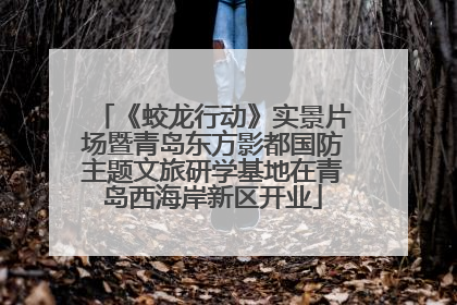 《蛟龙行动》实景片场暨青岛东方影都国防主题文旅研学基地在青岛西海岸新区开业