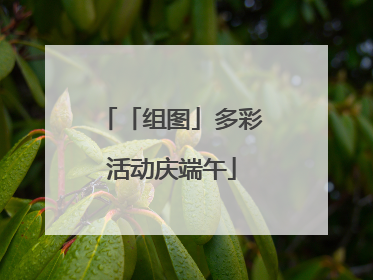 「组图」多彩活动庆端午