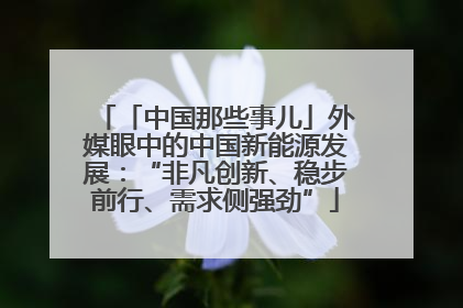 「中国那些事儿」外媒眼中的中国新能源发展：“非凡创新、稳步前行、需求侧强劲”