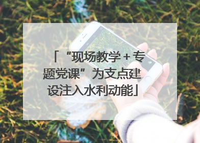 “现场教学＋专题党课”为支点建设注入水利动能