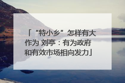 “特小乡”怎样有大作为 刘亭：有为政府和有效市场相向发力