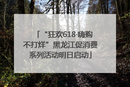 “狂欢618·嗨购不打烊”黑龙江促消费系列活动明日启动