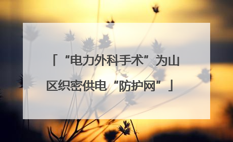 “电力外科手术”为山区织密供电“防护网”