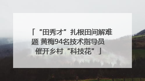 “田秀才”扎根田间解难题 黄梅94名技术指导员催开乡村“科技花”