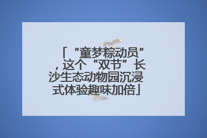 “童梦粽动员”，这个“双节”长沙生态动物园沉浸式体验趣味加倍