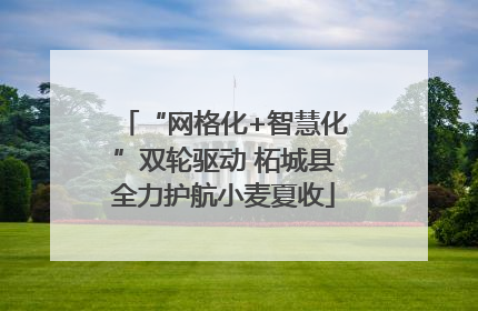 “网格化+智慧化”双轮驱动 柘城县全力护航小麦夏收