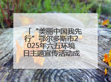 “美丽中国我先行”鄂尔多斯市2025年六五环境日主题宣传活动成功举办