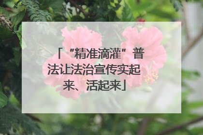 “精准滴灌”普法让法治宣传实起来、活起来