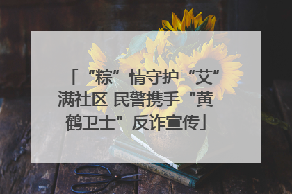 “粽”情守护“艾”满社区 民警携手“黄鹤卫士”反诈宣传