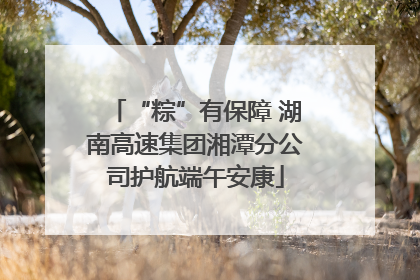 “粽”有保障 湖南高速集团湘潭分公司护航端午安康