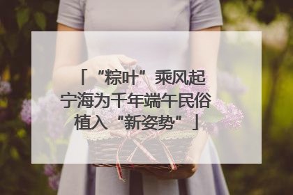 “粽叶”乘风起 宁海为千年端午民俗植入“新姿势”
