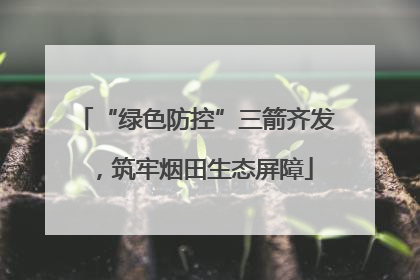 “绿色防控”三箭齐发，筑牢烟田生态屏障