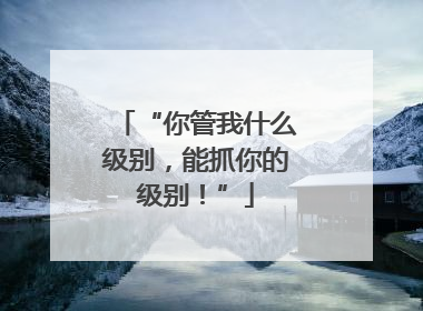 “你管我什么级别，能抓你的级别！”