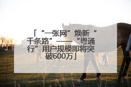 “一张网”焕新“千条路”——“粤通行”用户规模即将突破600万