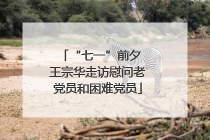“七一”前夕 王宗华走访慰问老党员和困难党员