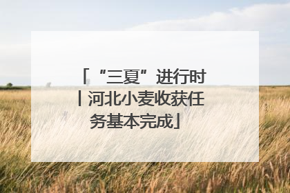 “三夏”进行时丨河北小麦收获任务基本完成