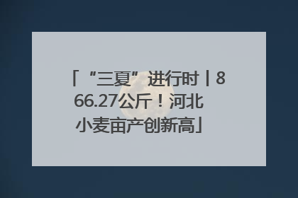 “三夏”进行时丨866.27公斤！河北小麦亩产创新高