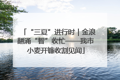 “三夏”进行时｜金浪翻涌“智”收忙——我市小麦开镰收割见闻