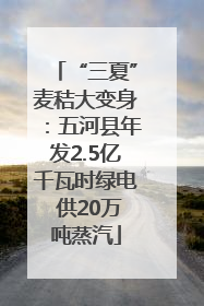 “三夏”麦秸大变身：五河县年发2.5亿千瓦时绿电 供20万吨蒸汽