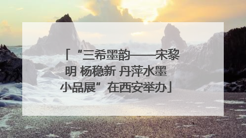“三希墨韵——宋黎明 杨稳新 丹萍水墨小品展”在西安举办