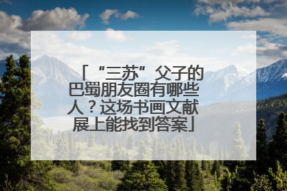 “三苏”父子的巴蜀朋友圈有哪些人？这场书画文献展上能找到答案