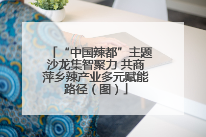 “中国辣都”主题沙龙集智聚力 共商萍乡辣产业多元赋能路径（图）
