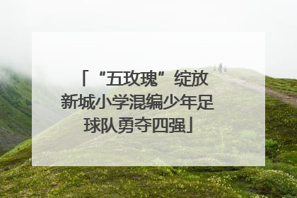 “五玫瑰”绽放 新城小学混编少年足球队勇夺四强