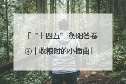 “十四五”·衡阳答卷③｜收粮时的小插曲