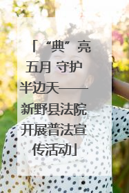 “典”亮五月 守护半边天——新野县法院开展普法宣传活动