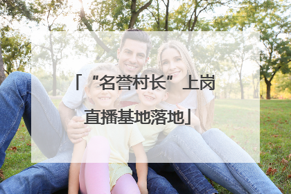 “名誉村长”上岗 直播基地落地