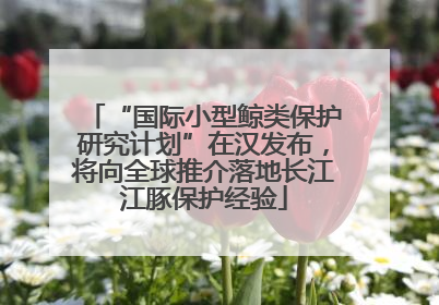 “国际小型鲸类保护研究计划”在汉发布，将向全球推介落地长江江豚保护经验