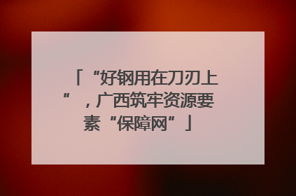“好钢用在刀刃上”，广西筑牢资源要素“保障网”