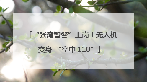 “张湾智警”上岗！无人机变身 “空中 110”