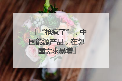 “抢疯了”，中国能源产品，在邻国需求暴增