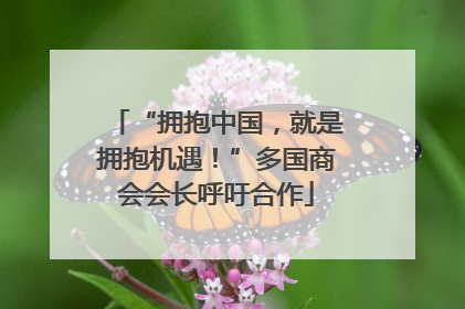 “拥抱中国，就是拥抱机遇！”多国商会会长呼吁合作