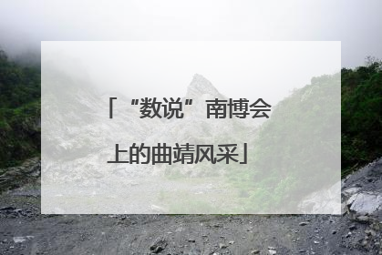 “数说”南博会上的曲靖风采