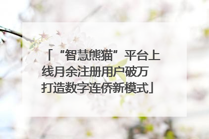“智慧熊猫”平台上线月余注册用户破万 打造数字连侨新模式