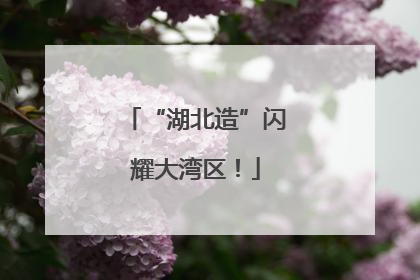 “湖北造”闪耀大湾区！