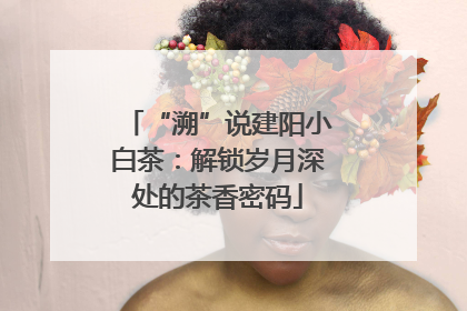 “溯”说建阳小白茶：解锁岁月深处的茶香密码