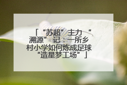 “苏超”主力 “溯源” 记：一所乡村小学如何炼成足球 “造星梦工场”