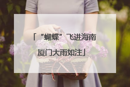 “蝴蝶”飞进海南 厦门大雨如注