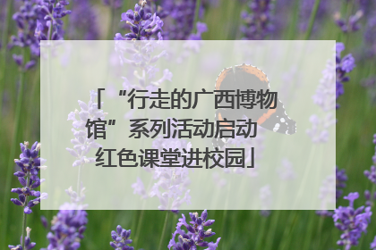 “行走的广西博物馆”系列活动启动 红色课堂进校园