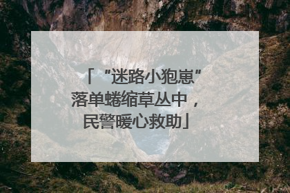 “迷路小狍崽”落单蜷缩草丛中，民警暖心救助