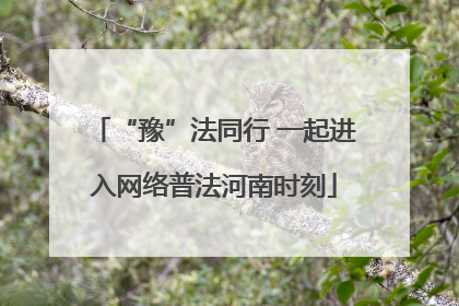 “豫”法同行 一起进入网络普法河南时刻
