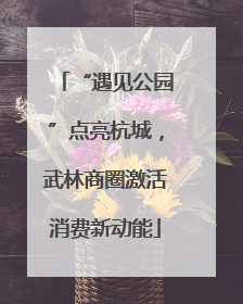 “遇见公园”点亮杭城，武林商圈激活消费新动能