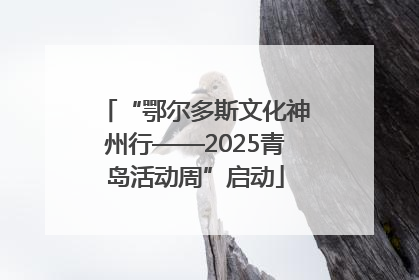 “鄂尔多斯文化神州行——2025青岛活动周”启动
