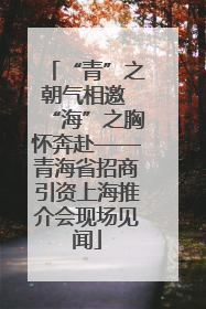 “青”之朝气相邀 “海”之胸怀奔赴——青海省招商引资上海推介会现场见闻